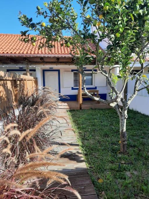 Sado House 3 Villa Comporta Exterior foto